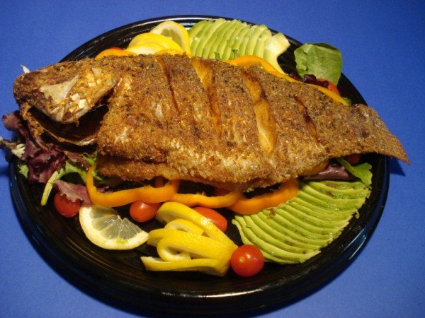 Fish